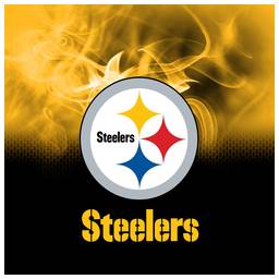 Pittsburgh Steelers NFL On Fire Towel