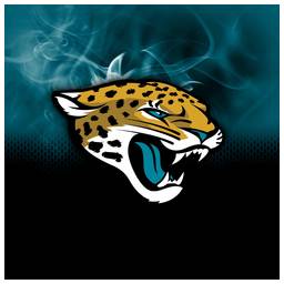 Carolina Panthers NFL On Fire Towel