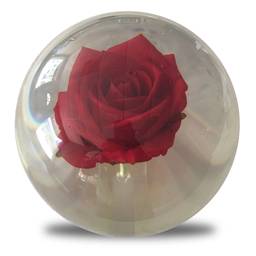 Clear Red Rose Bowling Ball- 14lbs