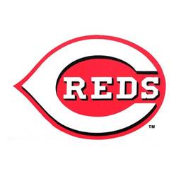 Cincinnati Reds Bowling Towel by Master