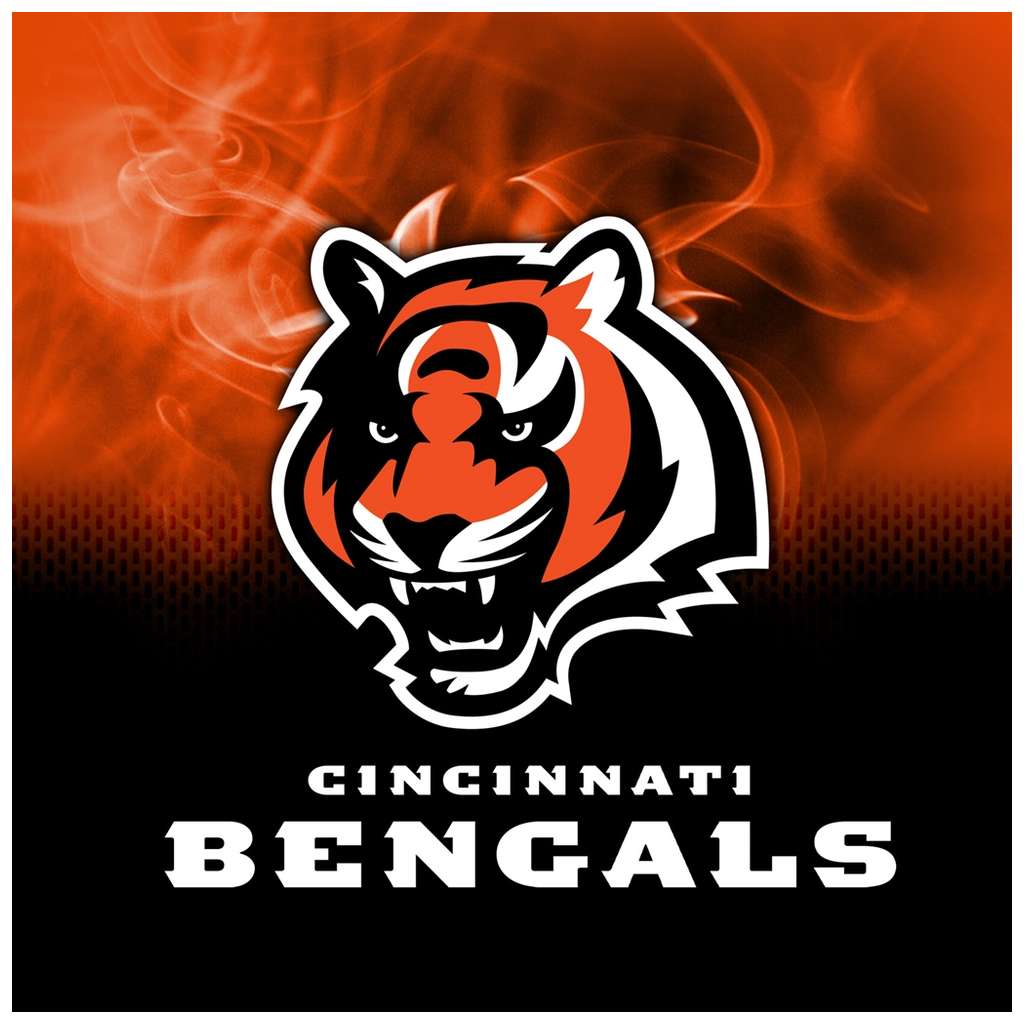 Cincinnati Bengals NFL On Fire Towel