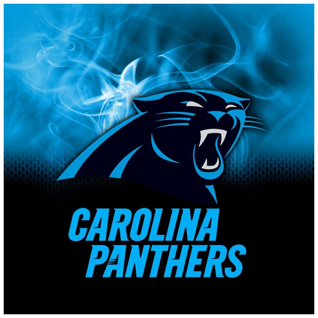 Carolina Panthers NFL On Fire Towel 